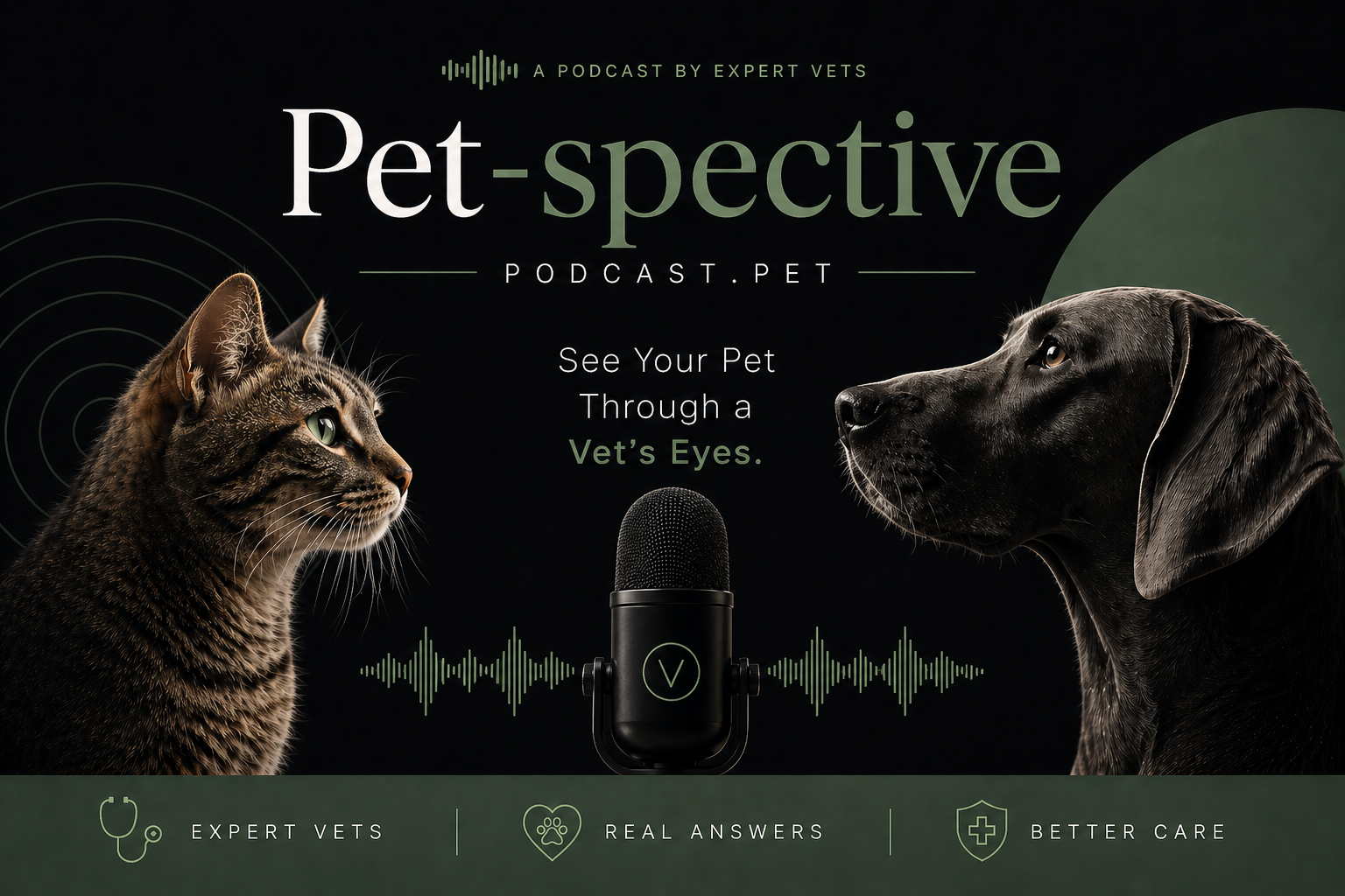 Petspective — See Your Pet Through a Vet's Eyes